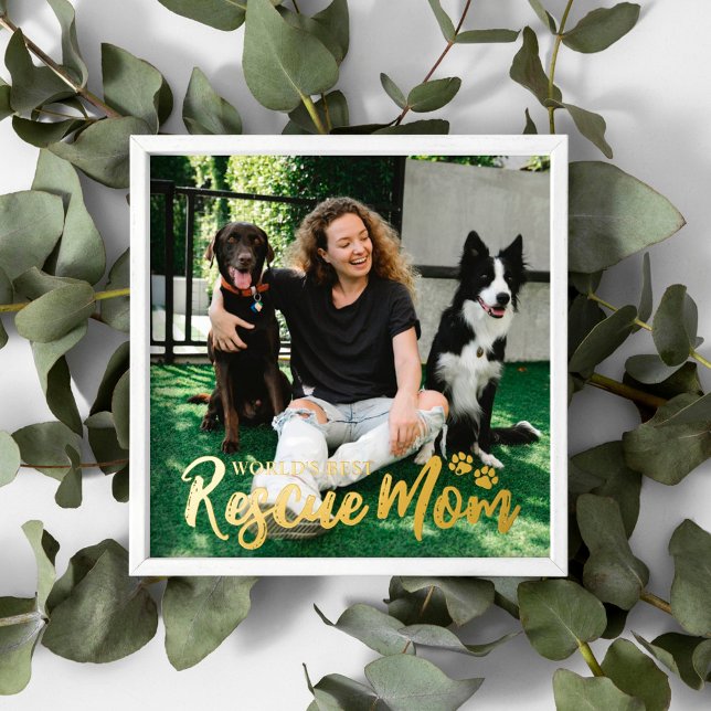 Golden Paws World's Best Rescue Mama Foto Foliendrucke (Von Creator hochgeladen)