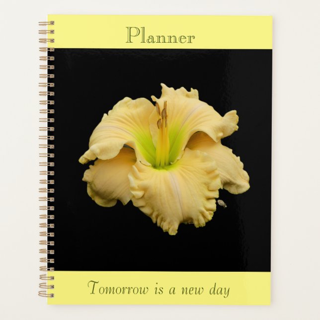 Golden Pedals Lily Planer (Vorderseite)