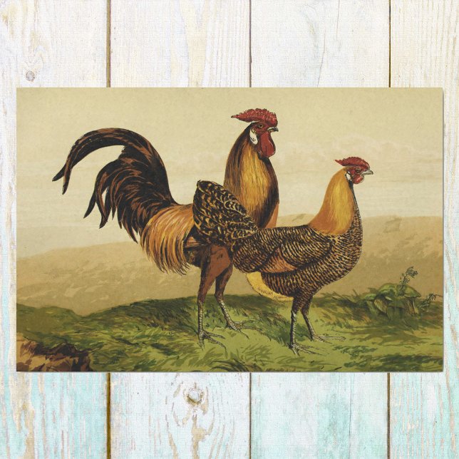 Golden Penciled Hamburg Roosters and Hens on Farm Seidenpapier (Von Creator hochgeladen)