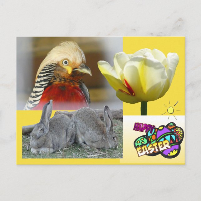 Golden Pheasant Happy Easter Postkarte (Vorderseite)