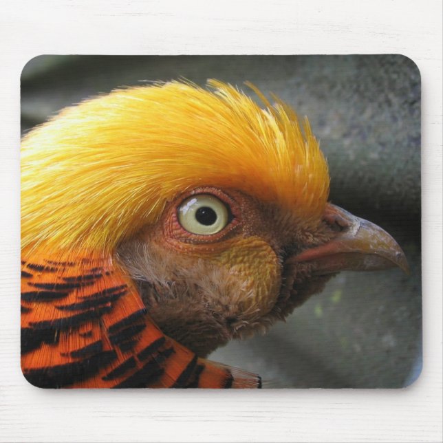 Golden Pheasant Mousepad (Vorne)