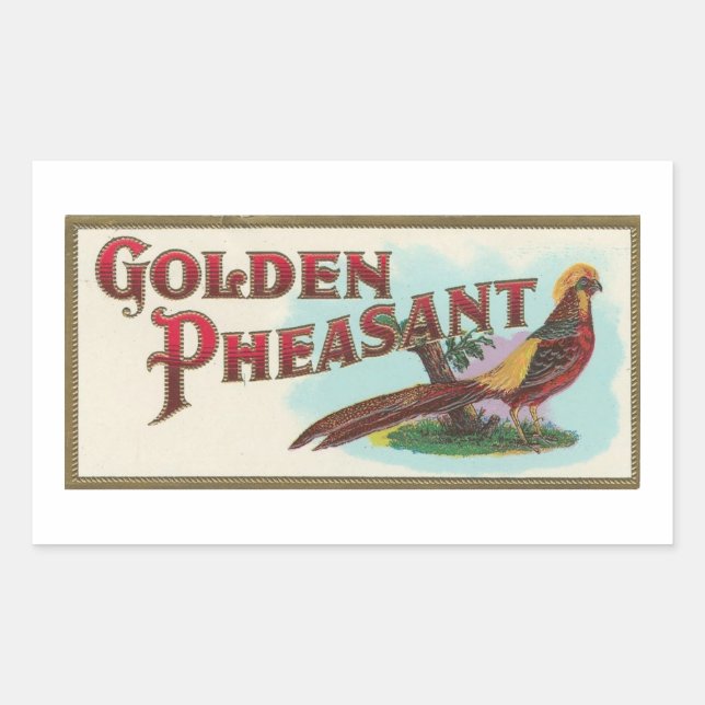 Golden Pheasant Rechteckiger Aufkleber (Vorderseite)
