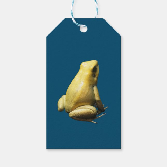 Golden Poison Frog Geschenkanhänger (Vorderseite)