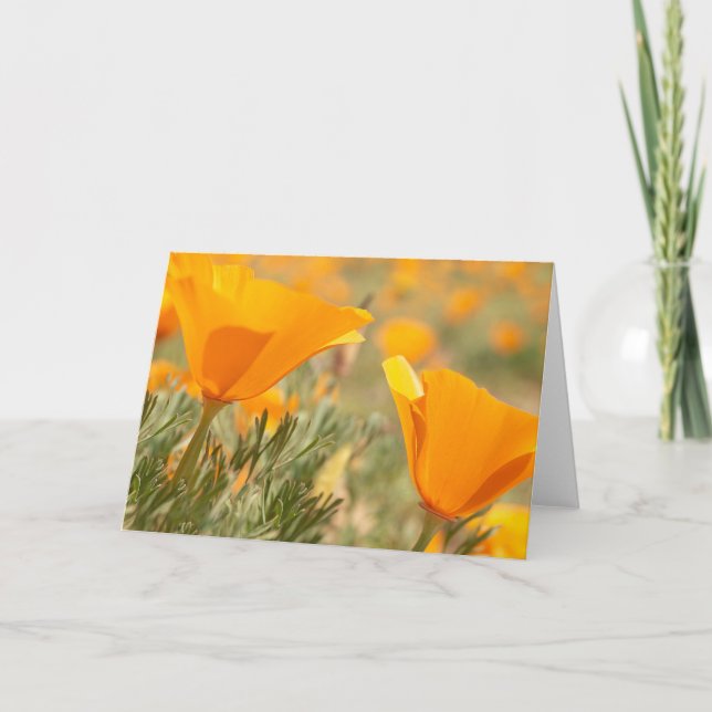 Golden Poppies Karte (Vorderseite)