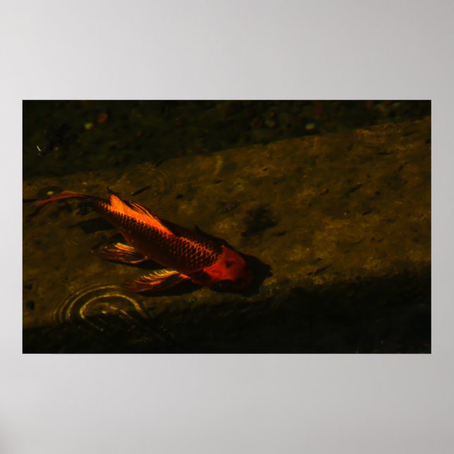 Golden! Poster (Vorne)