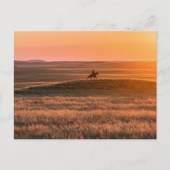 Golden Prairie Party Invitation - Classic Western  (Devant)