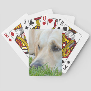 Golden Pup Spielkarten