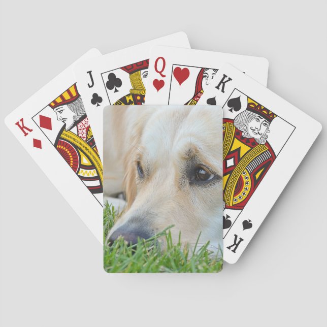Golden Pup Spielkarten (Rückseite)