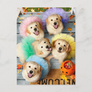 Golden Puppies Trick oder Behandlung Einladungspostkarte