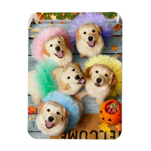 Golden Puppies Trick oder Behandlung Magnet