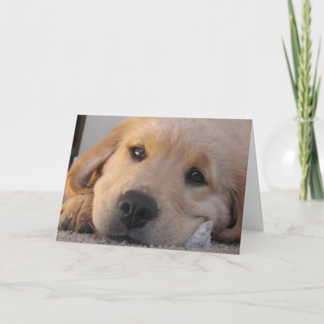 Golden Puppy Miss You Card Karte (Vorderseite)