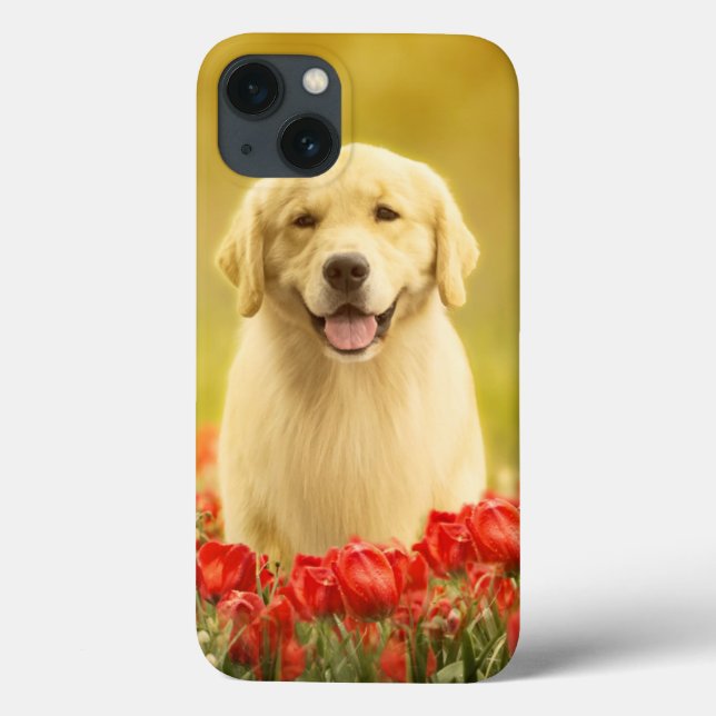 Golden Retirever in Roten Blume Case-Mate iPhone Hülle (Rückseite)