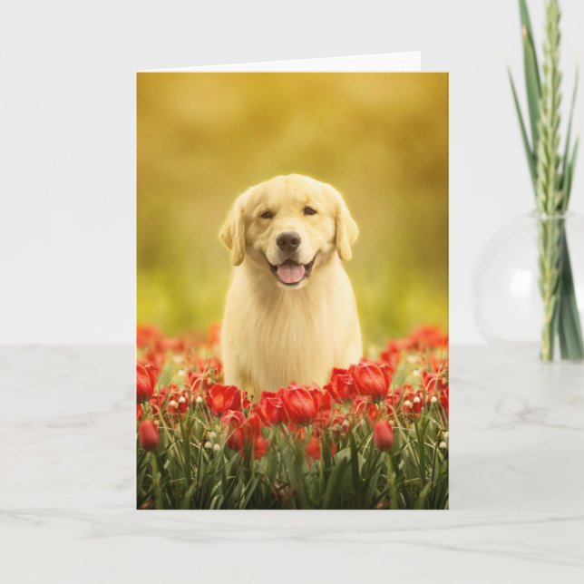 Golden Retirever in Roten Blume Karte (Vorderseite)