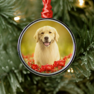 Golden Retirever in Roten Blume Ornament Aus Metall