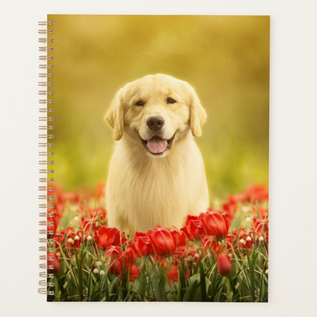 Golden Retirever in Roten Blume Planer (Vorderseite)