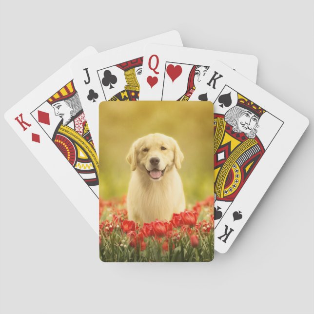 Golden Retirever in Roten Blume Spielkarten (Rückseite)