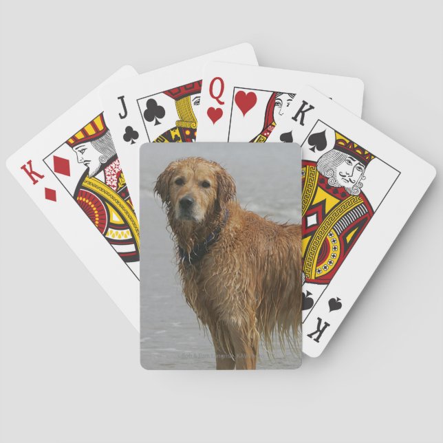 Golden Retreiver in the Sea Spielkarten (Rückseite)