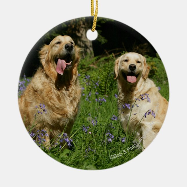 Golden Retreivers in Gras Keramik Ornament (Vorne)