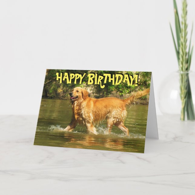 Golden Retrieve Geburtstagskarte Karte (Vorderseite)