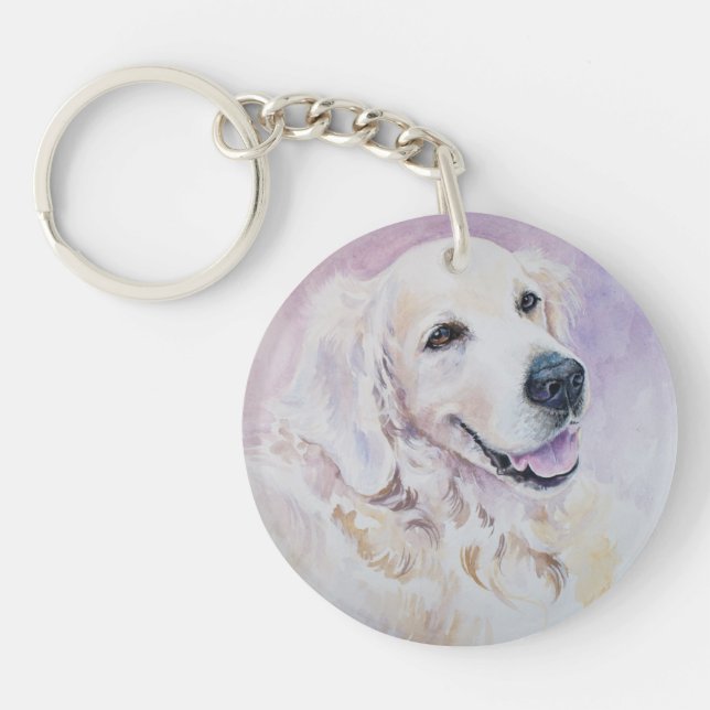 Golden retriever (Devant)