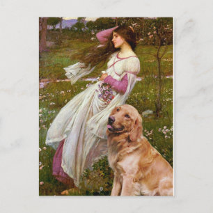 Golden Retriever 1 - Windblumen Postkarte