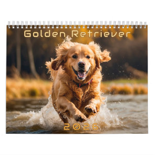 Golden Retriever 2026 Kalender