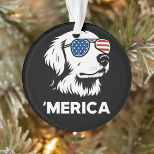 Golden Retriever 4 juillet Merica