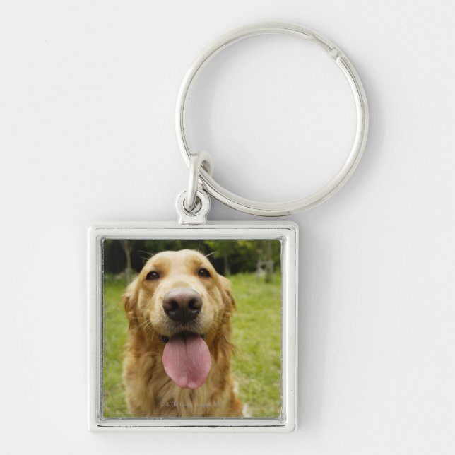 Golden retriever 4 schlüsselanhänger (Vorne)