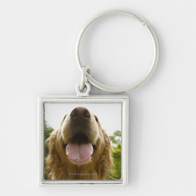 Golden retriever 5 schlüsselanhänger (Vorne)