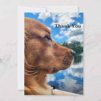 Golden Retriever am See Dankeschön-Karte Dankeskarte
