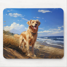 Golden Retriever am Strand