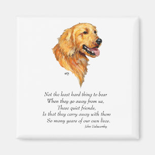 Golden Retriever Andenken Magnet