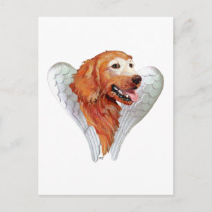 Golden Retriever Angel Postkarte