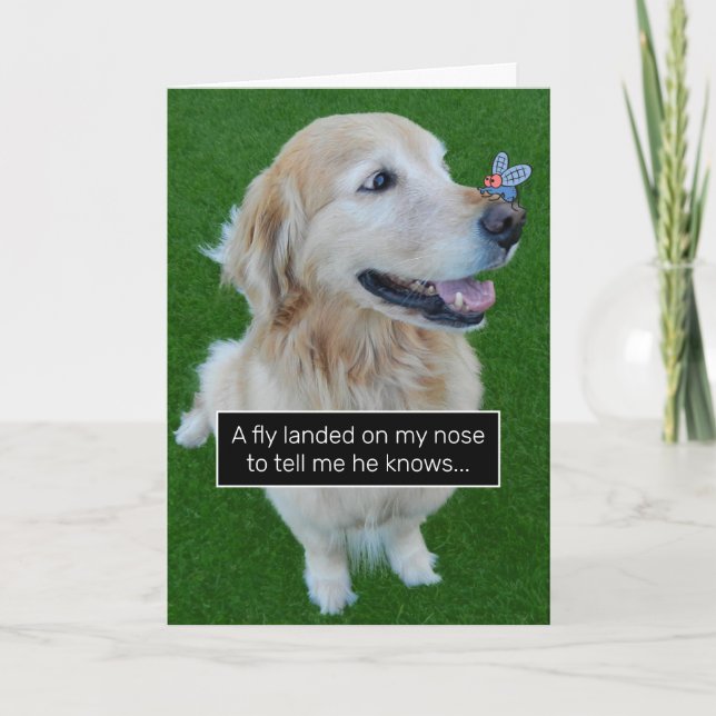 Golden Retriever Ate Birthday Rumor Spreading Fly Karte (Vorderseite)