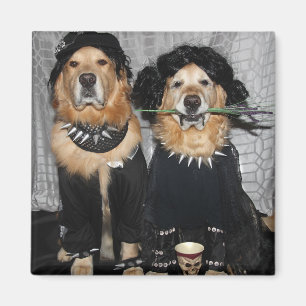 Golden retriever auf der Goth Seite Magnet