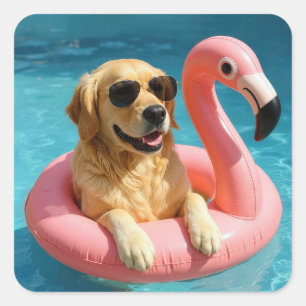Golden Retriever auf einem Flamingo-Poolspielzeug Quadratischer Aufkleber