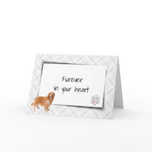 Golden Retriever auf Kariertem Pet Loss Beileid