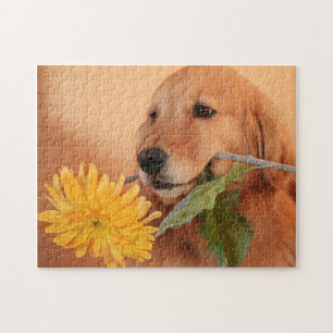 Golden Retriever Avec Flower Jigsaw Puzzle
