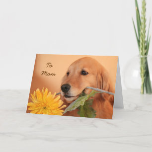 Golden Retriever avec la carte Flower Mother's Day