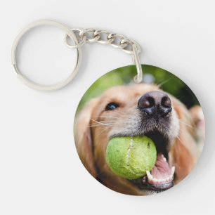Golden Retriever Avec Le Bal De Tennis