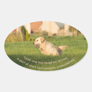 Golden Retriever avec un autocollant ovale