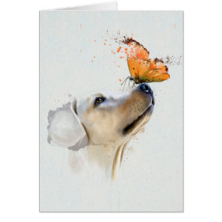 Golden retriever avec un papillon sur son nez