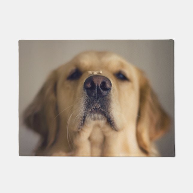 Golden Retriever Balancing Leckerei on Nose Fußmatte (Vorderseite)