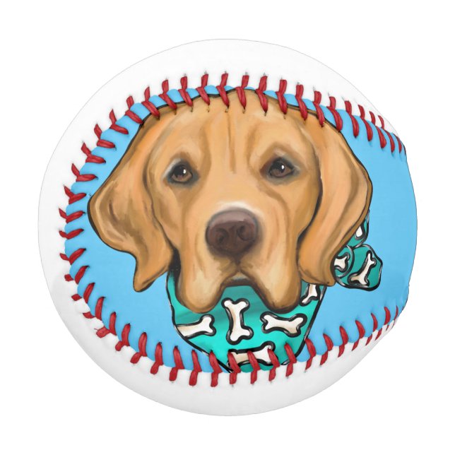 Golden Retriever Baseball (Vorderseite Links)