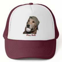 Golden Retriever Baseball Puppy