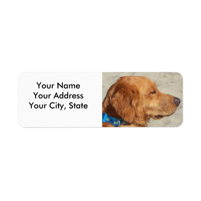 Golden Retriever Beach Dog (Vorne)