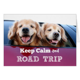 Golden Retriever Behalten Ruhe und Straßenfahrt