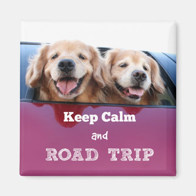 Golden Retriever Behalten Ruhe und Straßenfahrt Magnet (Vorne)