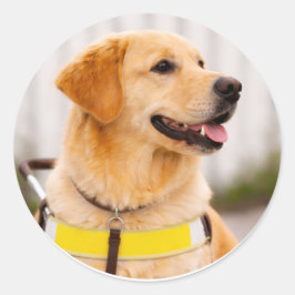 Golden Retriever Blindenhund Profil von rechts Runder Aufkleber
