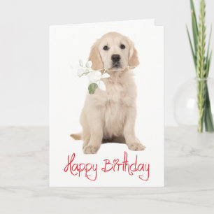 Golden Retriever Blumen Welpen Hund Alles Gute zu Karte